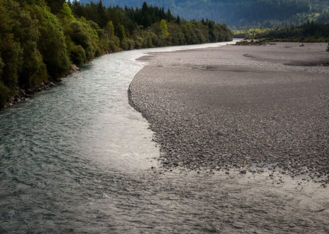 Impact du cash flow sur la croissance et la pérennité des PME