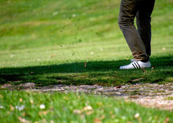 Montée en compétences financières : pourquoi est-ce crucial pour votre avenir professionnel?