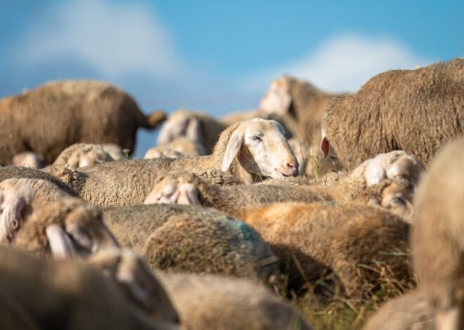 Les avantages de s&rsquo;associer à des groupes d&rsquo;épargne