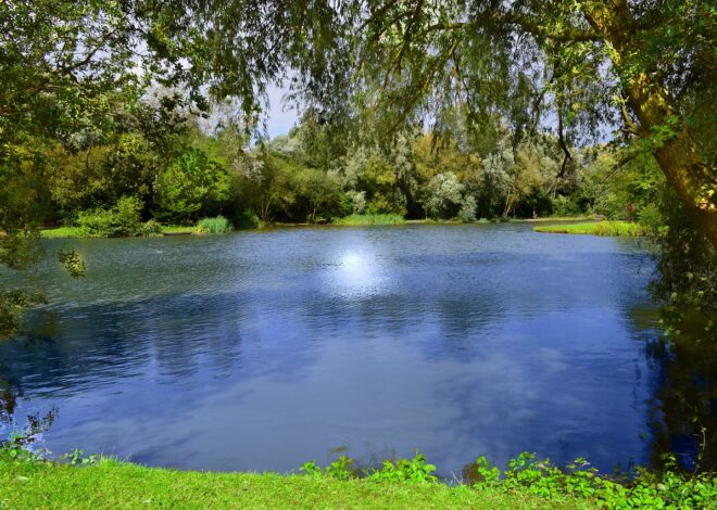 Les avantages d&rsquo;un compte joint pour les couples : tout ce qu&rsquo;il faut savoir