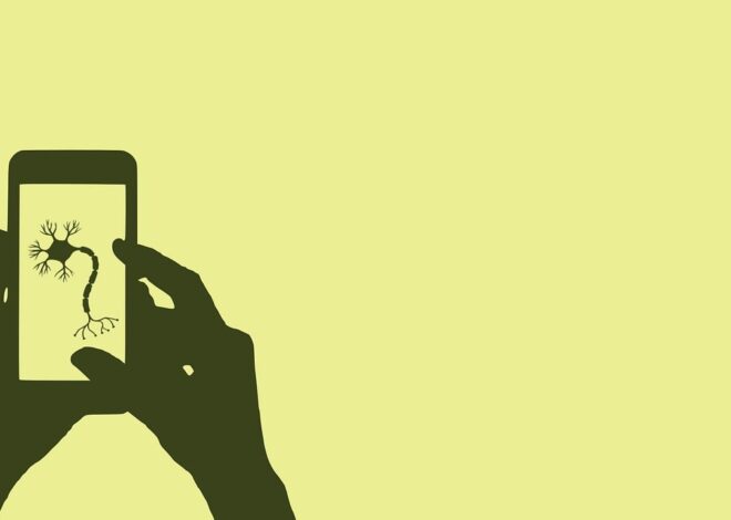 Les biais cognitifs dans l&rsquo;économie comportementale : Comment ils influencent nos choix