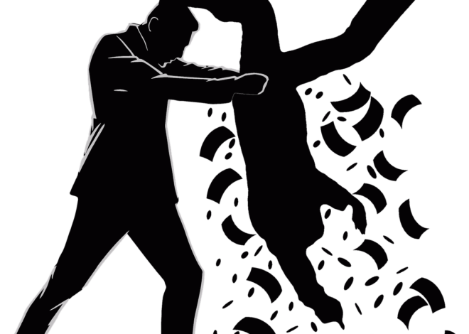 Les clés pour comprendre les déclarations fiscales en toute simplicité